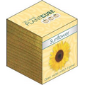 Plant Cube- Sunflower